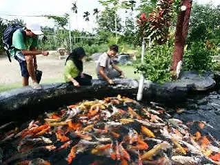 Pelangi Balau Resort Johor Bahru 3*,