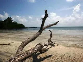 *** Hotel Pelangi Balau Resort Johor Bahru Malaysia